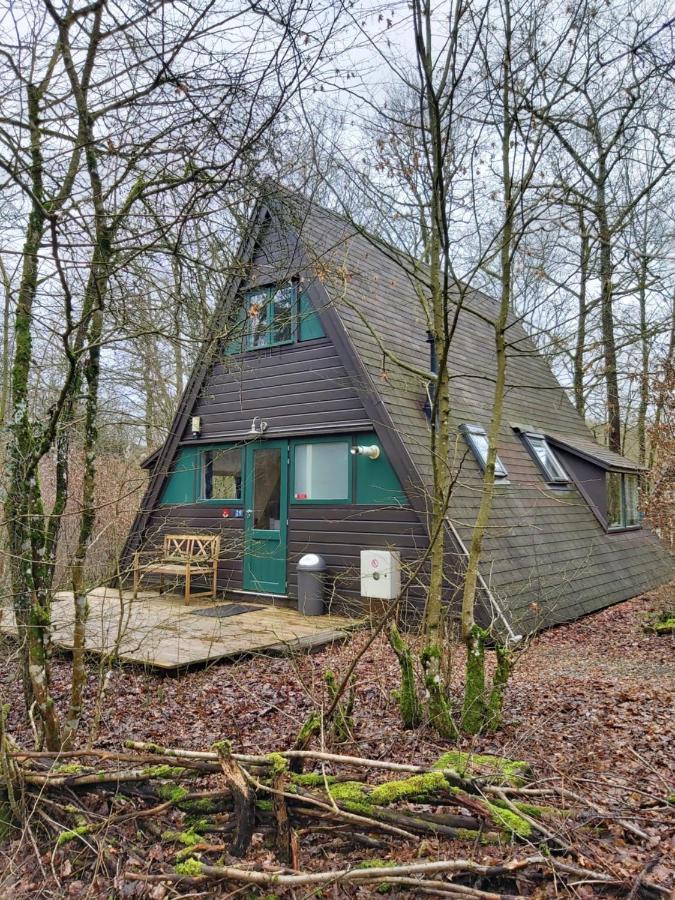 Woodpecker - Bungalow 29 Durbuy Exteriér fotografie